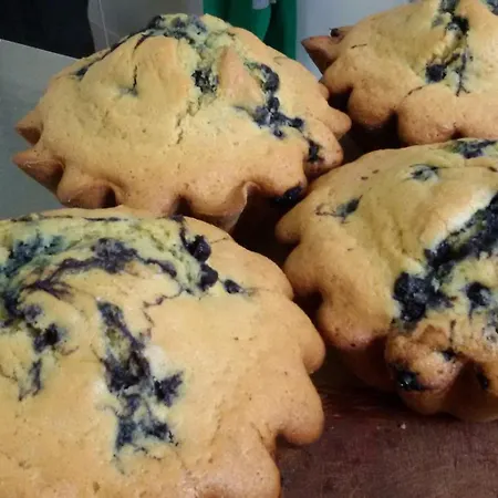 Chaletdusoulor- Pdj Et Repas Inclus Holiday home Arrens-Marsous